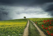 Nischenseiten Challenge Woche Fünf: Der Startschuss ist gefallen Nischenseitenchallenge 2018