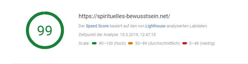 Pagespeed von 99 bei PageSpeed Insights